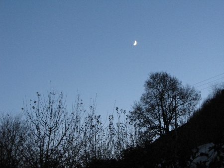 novdec-055-450 novdec-055-450