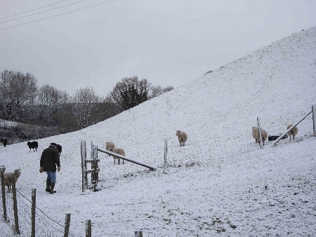 snowy-field-450 snowy-field-450