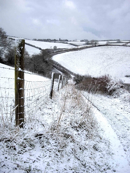 snowy-lane-450 snowy-lane-450