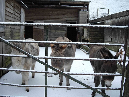 we-will-miss-him-badly-450 we-will-miss-him-badly-450