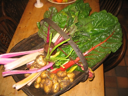 autumn-vegetables-450 autumn-vegetables-450