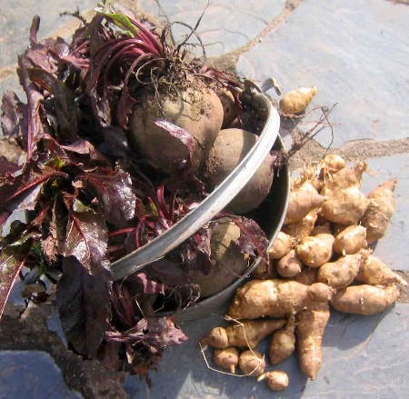 beetroot-jerusalem-artichokes-450 beetroot-jerusalem-artichokes-450