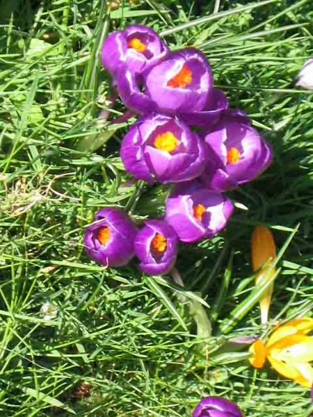 more-rain-041-2-450 more-rain-041-2-450