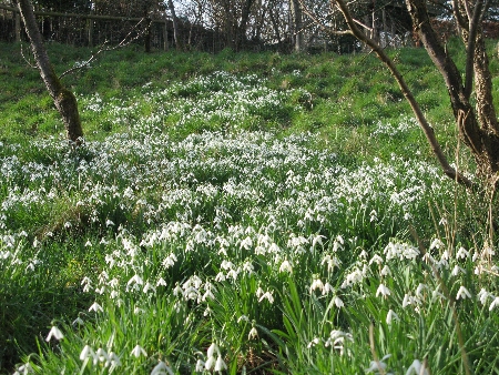 raining-sideways-weblog-pictures-jan09-040450 raining-sideways-weblog-pictures-jan09-040450