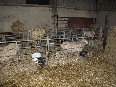 raining-sideways-weblog-pictures-jan09-078450 raining-sideways-weblog-pictures-jan09-078450