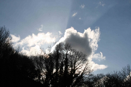 rain-on-the-way-450a