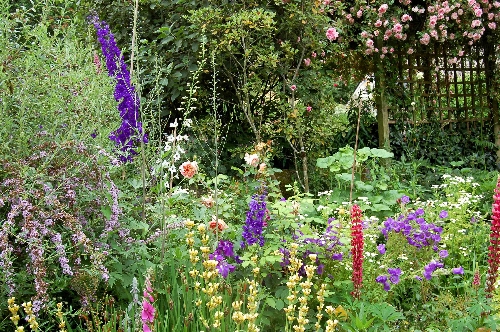 garden-june-016450