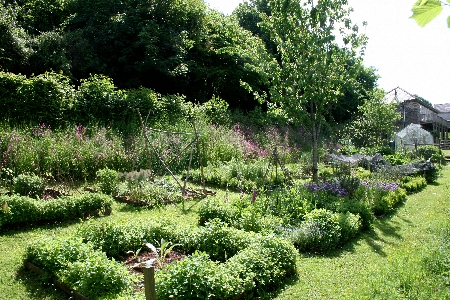 veg-garden1450