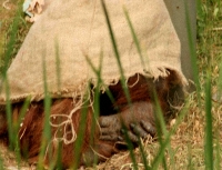 sleeping2001 sleeping2001