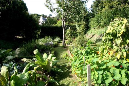 autumn-veg-garden autumn-veg-garden