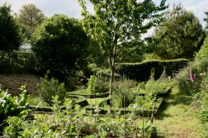Vegetable garden