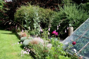 July garden  diarama